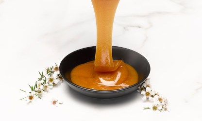 Manuka100MGO250GR_2